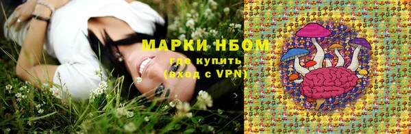 гидра Белокуриха