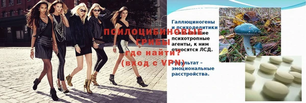 гидра Белокуриха