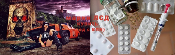 гидра Белокуриха