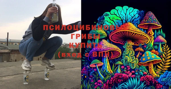 гидра Белокуриха