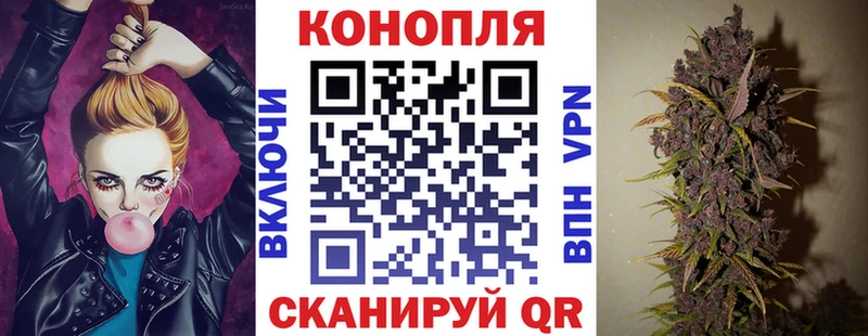 Канабис OG Kush  Мглин 
